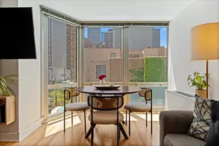 21 W Goethe St, Chicago, IL 60610 - Photo 9