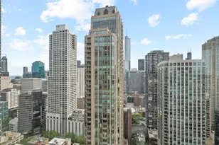 25 E Superior St, Chicago, IL 60611 - Photo 31
