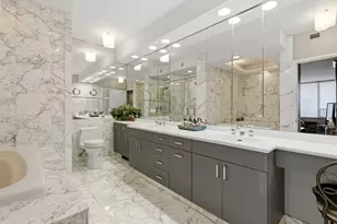 1000 N Lake Shore Plaza, Chicago, IL 60611 - Photo 11