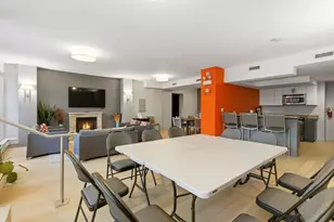 1000 N Lake Shore Plaza, Chicago, IL 60611 - Photo 21