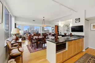 1000 N Lake Shore Plaza, Chicago, IL 60611 - Photo 9