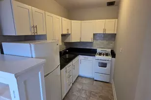 219 S Main St, Lombard, IL 60148 - Photo 3