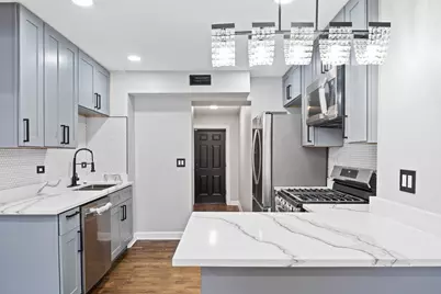 46 E 91st Street, Chicago, IL 60619 - Photo 13
