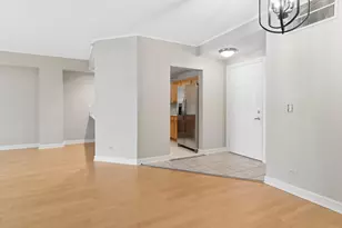 245 Burlington Ave, Clarendon Hills, IL 60514 - Photo 3