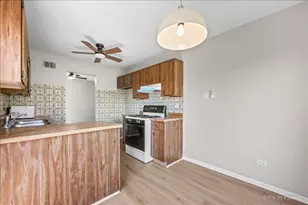 827 E Kings Row, Palatine, IL 60074 - Photo 9