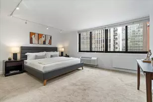 1221 N Dearborn St, Chicago, IL 60610 - Photo 17