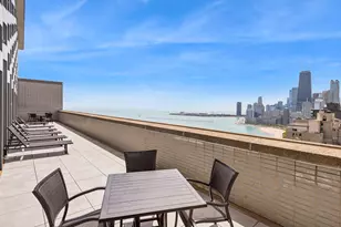 1550 N Lake Shore Dr, Chicago, IL 60610 - Photo 9