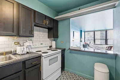 1560 N Sandburg Terrace #1405, Chicago, IL 60610 - Photo 9
