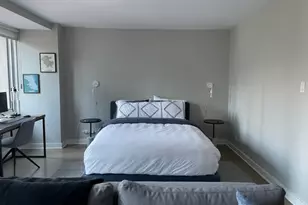 211 E Ohio St, Chicago, IL 60611 - Photo 3