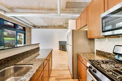 1070 W 15th Street #113, Chicago, IL 60608 - Photo 11
