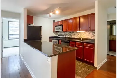 222 E Pearson Street #1206, Chicago, IL 60611 - Photo 5