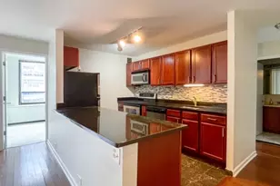 222 E Pearson St, Chicago, IL 60611 - Photo 5