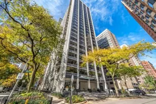 222 E Pearson St, Chicago, IL 60611 - Photo 1