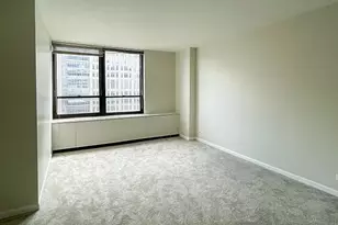222 E Pearson St, Chicago, IL 60611 - Photo 9
