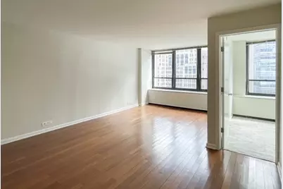 222 E Pearson Street #1206, Chicago, IL 60611 - Photo 3