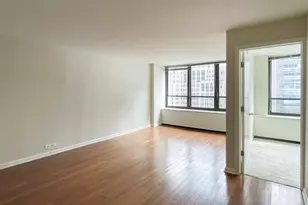 222 E Pearson St, Chicago, IL 60611 - Photo 3