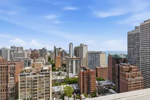50 E Bellevue Pl, Chicago, IL 60611 - Photo 15
