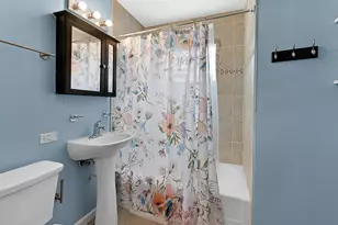144 E 2nd Ave, New Lenox, IL 60451 - Photo 7