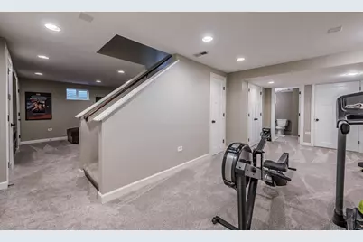 24146 Brancaster Drive, Naperville, IL 60564 - Photo 49