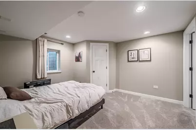 24146 Brancaster Drive, Naperville, IL 60564 - Photo 55