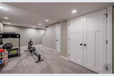 24146 Brancaster Drive, Naperville, IL 60564 - Photo 51