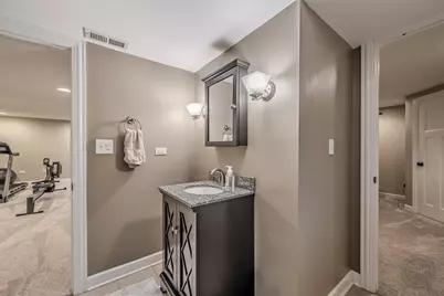 24146 Brancaster Drive, Naperville, IL 60564 - Photo 53