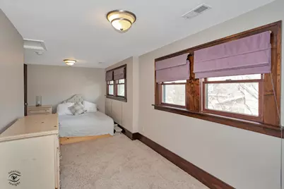 256 Center Road, Frankfort, IL 60423 - Photo 19