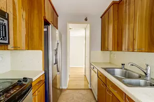 401 E Ontario St, Chicago, IL 60611 - Photo 17