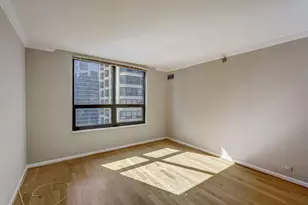 401 E Ontario St, Chicago, IL 60611 - Photo 39