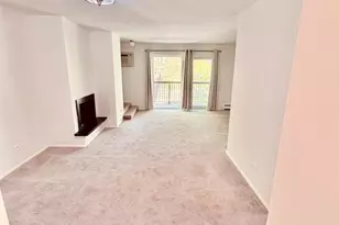 811 S Dwyer Ave, Arlington Heights, IL 60005 - Photo 19