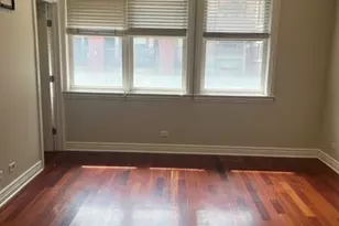 334 N Jefferson St, Chicago, IL 60661 - Photo 19