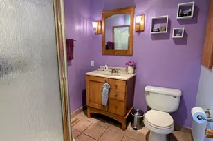 10849 Moody Ave, Chicago Ridge, IL 60415 - Photo 19