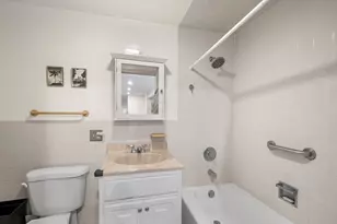 560 W Arlington Pl, Chicago, IL 60614 - Photo 53