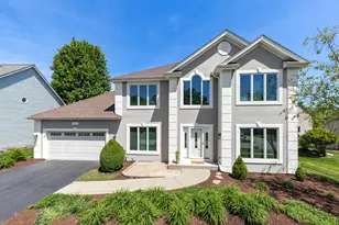 1407 Grommon Rd, Naperville, IL 60564 - Photo 1