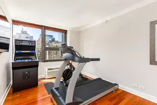 221 E Walton Pl, Chicago, IL 60611 - Photo 19
