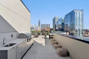 323 S Racine Ave, Chicago, IL 60607 - Photo 37