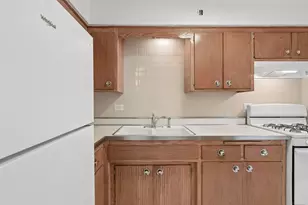 938 Ontario St, Oak Park, IL 60302 - Photo 9