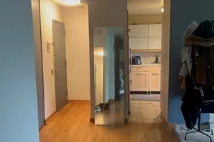 4800 S Lake Park Ave, Chicago, IL 60615 - Photo 11