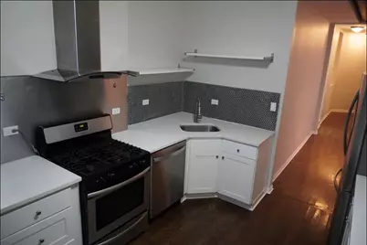 867 E Pershing Road #2, Chicago, IL 60653 - Photo 5
