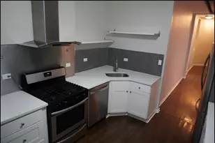 867 E Pershing Rd, Chicago, IL 60653 - Photo 5