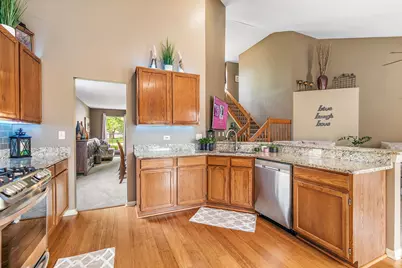 204 Dickens Trail, Elgin, IL 60120 - Photo 11