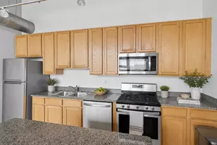 221 E Cullerton St, Chicago, IL 60616 - Photo 11