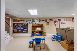 910 N Bell St, Gibson City, IL 60936 - Photo 53