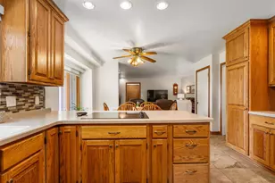 910 N Bell St, Gibson City, IL 60936 - Photo 29