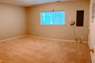 775 Lewisburg Ln, Aurora, IL 60504 - Photo 31