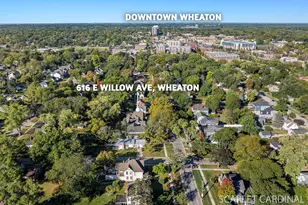 616 E Willow Ave, Wheaton, IL 60187 - Photo 51