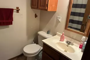 205 E Logan St, Atlanta, IL 61723 - Photo 21