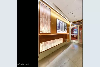 400 E Randolph Street #904, Chicago, IL 60601 - Photo 19
