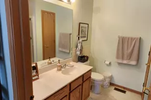 11645 River Terrace Ln, Huntley, IL 60142 - Photo 13