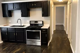 8153 S South Shore Dr, Chicago, IL 60617 - Photo 5